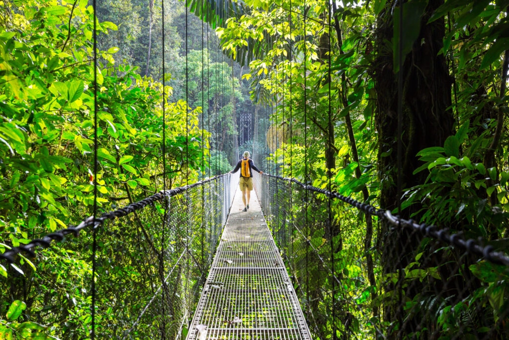 Nature landscape in Costa Rica, representing outdoor PPC optimization strategies to cut costs and boost conversions for adventure brands.
