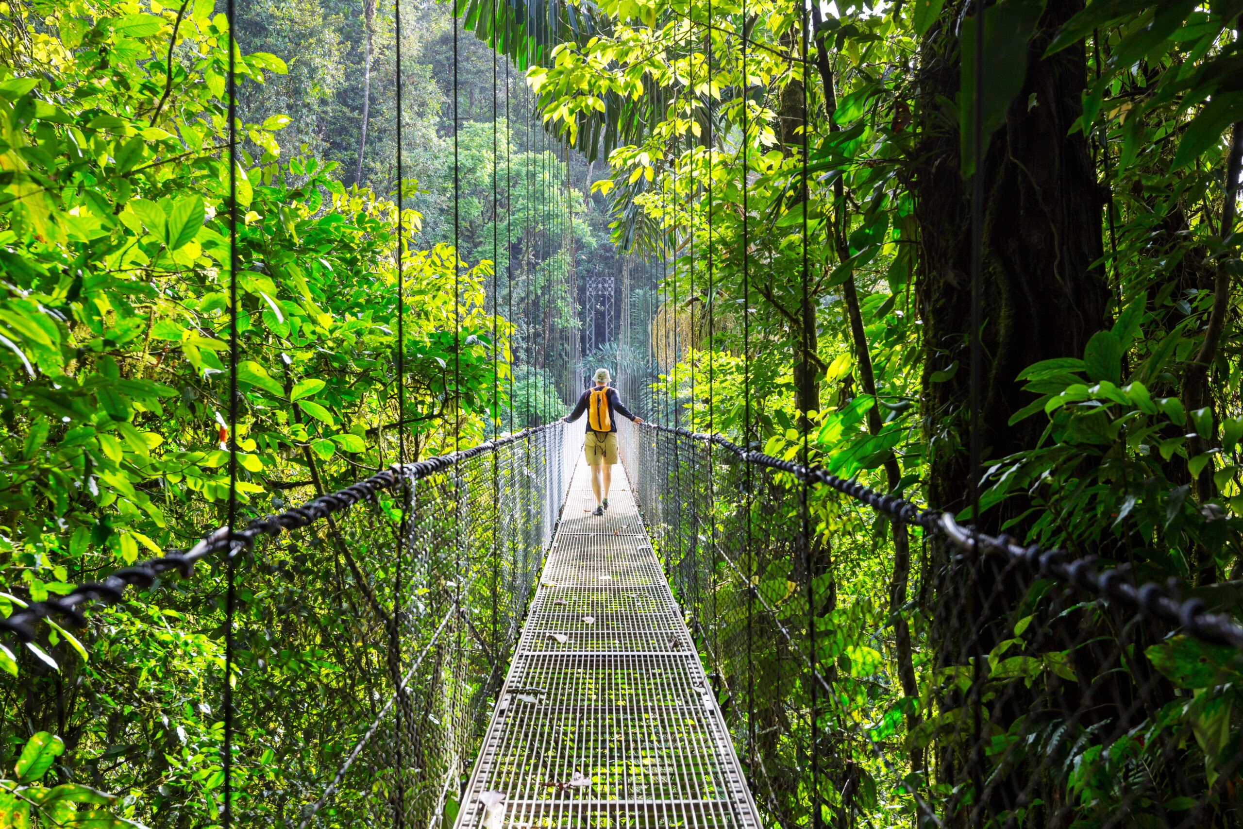 Nature landscape in Costa Rica, representing outdoor PPC optimization strategies to cut costs and boost conversions for adventure brands.